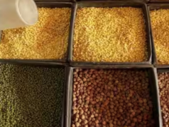 दालों की कीमतों में आ रही तेजी, व्यापारियों पर लग सकती है ये पाबंदी