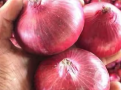 बैन के बावजूद इन दो देशों को भेजा जाएगा चावल और प्याज