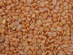 देश में दालों की कीमतों में नरमी आने की कोई गुंजाइश नहीं है.