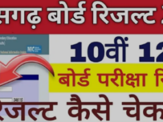 छत्तीसगढ़ बोर्ड 10वीं, 12वीं का रिजल्ट जारी, जानें कौन बना टॉपर