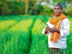 किसान अब मात्र 2 प्रतिशत प्रीमियम दर पर करा सकेंगे फसलों का बीमा, आखिरी तारीख का हुआ ऐलान