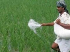 छत्तीसगढ़ में खाद की कोई कमी नहीं