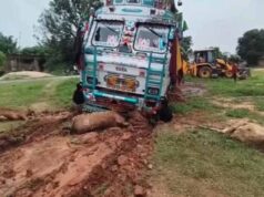 तेज रफ्तार ट्रक ने मचाया कहर: सड़क किनारे बैठी 6 गायों की मौत, कई घायल