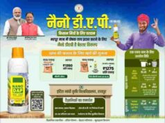 छत्तीसगढ़ में खाद की कोई कमी नहीं, डीएपी की कमी को पूरा करने एनपीके, एसएसपी और नैनो डीएपी का भरपूर स्टॉक