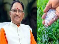 डीएपी की कमी पर बोले सीएम साय – किसानों को नहीं होगी परेशानी, विकल्प के रूप में उपलब्ध हैं नैनो डीएपी, एनपीके और एसएसपी….