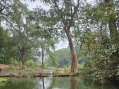 बारिश में बस्तर के प्राकृतिक सौंदर्य का अनुपम नजारा