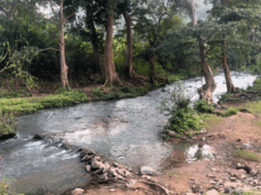 बारिश में बस्तर के प्राकृतिक सौंदर्य का अनुपम नजारा
