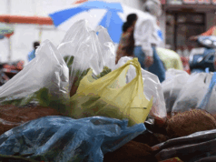 नगर निगम द्वारा सिंगल यूज प्लास्टिक पर कार्रवाई