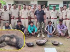 बिजली तार से भालू की मौत, पुलिस ने 5 आरोपियों को पकड़ा, 1 अब भी फरार