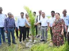 ऑयल पाम खेती: किसानों के लिए स्थायी आय और आत्मनिर्भरता की राह….