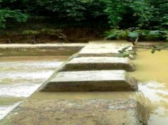 चेक डैम से सिंचाई के लिए मिलने लगा पर्याप्त पानी….