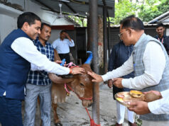 मुख्यमंत्री विष्णु देव साय ने चंद्र ग्रहण से पहले निभाई परंपरा, गौ माता को खिलाया गुड़-रोटी….
