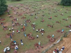 फलदार वृक्षों से बदली जिंदगी : सुरेश चन्द्र बने गांव के लिए प्रेरणा स्रोत….