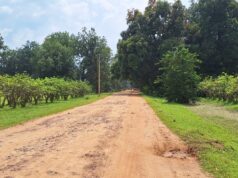 चिर्रा से श्यांग मार्ग का निर्माण कार्य शुरू….