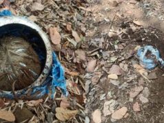 नारायणपुर में नक्सली साजिश फेल: तीन प्रेशर-कुकर बम बरामद, सुरक्षाबलों ने किए निष्क्रिय