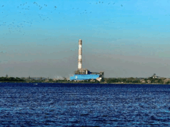 अमरकंटक ताप विद्युत गृह चचाई ने शक्ति पर्व में दिखाई अपनी शक्ति : मुख्यमंत्री डॉ. यादव