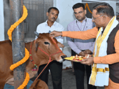 गोवर्धन पूजा के अवसर पर मुख्यमंत्री ने किया गौपूजन, प्रदेशवासियों की सुख-समृद्धि की कामना की