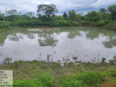 मनरेगा योजना से ग्रामीणों को मिला रोजगार और आत्मनिर्भरता का अवसर….