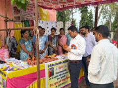 दीवाली पर ‘महिला उद्यमिता स्टॉल’ में झलकी बिहान की चमक: स्व-सहायता समूहों ने किया उत्पादों का प्रदर्शन एवं विक्रय…
