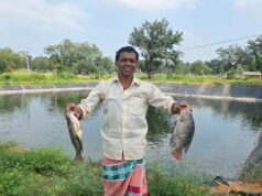 ग्रामीण अंचलों में मत्स्य पालन से आजीविका एवं आत्मनिर्भरता के खुल रहे नए अवसर…..