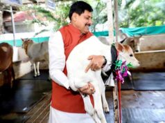 मध्यप्रदेश में दुग्ध उत्पादन से दोगुनी होगी पशुपालक किसानों की आय : मुख्यमंत्री डॉ. यादव