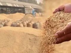 गौरेला पेंड्रा मरवाही : धान खरीदी के पहले दिन दो केंद्रों में आठ किसानों ने बेचा 506.80 क्विंटल धान