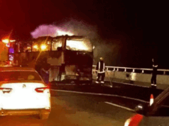 सऊदी अरब में हुआ भयानक सड़क हादसा, 42 भारतीय यात्रियों की मौत