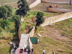 सेवा भाव और वन्य जीव संरक्षण का प्रतीक है देश का पहला हाई-टेक वन्य जीव कैप्चर अभियान : मुख्यमंत्री डॉ. यादव