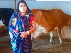 बिहान योजना से बदली सिवनी की रूखमणी पाण्डेय की जिंदगी, बनीं ‘लखपति दीदी’ और महिला आत्मनिर्भरता की प्रेरक मिसाल….