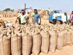 समर्थन मूल्य पर धान खरीदी में बड़ी कार्रवाई — अनियमितताओं के आरोप में 38 कर्मचारी दंडित, 31 निलंबित, 3 पर एफआईआर, 1 की सेवा समाप्त…