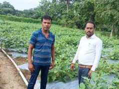 राष्ट्रीय कृषि विकास योजना से बदली किसान की किस्मत: सब्जी उत्पादन से किसान दादू राम मनहर बने आत्मनिर्भर….