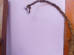 पहाड़ों में बर्मा के बिना अधूरा माना जाता है शुभ कार्य, जानें 108 तिनकों से बने देवताओं के इस पवित्र आसन का रहस्य