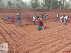 जल संरक्षण से आजीविका तक: छत्तीसगढ़ में ‘आजीविका डबरी’ अभियान बना ग्रामीण बदलाव की धुरी…..