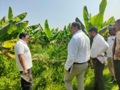 खाद्य तेल में आत्मनिर्भरता की ओर छत्तीसगढ़ : राज्य में 10,796 हेक्टेयर क्षेत्रों में ऑयल पाम की खेती….