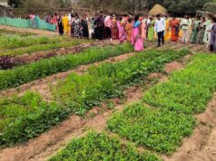 बस्तर के नवाचार देख उत्साहित हुईं बिलासपुर की दीदियाँ, एक्सपोजर विजिट में सीखीं इंटीग्रेटेड फार्मिंग की बारीकियां….