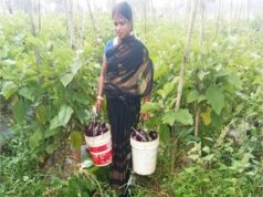 बिहान से बदली ममता की जिंदगी, सब्जी की खेती से ममता बनी आत्मनिर्भर….