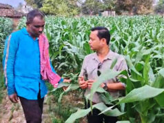 धान से मक्का की ओर बढ़ते कदम :फसलचक्र परिवर्तन से धमतरी के किसानों की बढ़ी आय, जल संरक्षण को मिली नई दिशा….