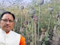 अफीम की खेती पर सख्त हुए मुख्यमंत्री विष्णु देव साय, संलिप्त लोगों के विरुद्ध की गई कड़ी कार्रवाई…..