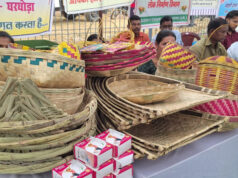 आत्मनिर्भरता की मिसाल बनीं ग्रामीण महिलाएं, गृह उद्योग और हस्तशिल्प से संवर रहा भविष्य…..