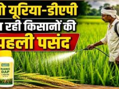 नैनो यूरिया और नैनो डीएपी से कम लागत में ज्यादा उत्पादन, नैनो उर्वरकों का संतुलित उपयोग मिट्टी में पोषक तत्वों को बनाए रखने में करता है मदद – किसान भूषण साहू…..