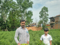 बिना केमिकल, बंपर मुनाफाः डोलनारायण की जैविक मिर्च ने बाजार में मचाई धूम…..