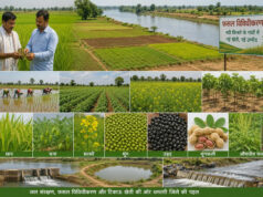 नदी किनारे की माटी में समृद्धि का नया अध्याय, धमतरी में 38 हजार किसानों की किस्मत बदलेगा फसल विविधीकरण…..