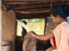 गणपति बप्पा की मिट्टी की प्रतिमा बनाकर बस्तर की महिलाओं ने हुनर से कमाए 1.80 लाख रुपए…..