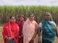 मुख्यमंत्री विष्णु देव साय के नेतृत्व में बिहान योजना से आत्मनिर्भर बन रहीं ग्रामीण महिलाएं, गन्ने की खेती से ममता राजवाड़े ने बढ़ाई आमदनी….
