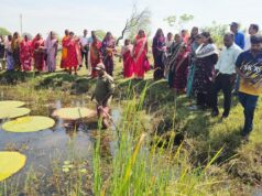तालाबों में खिली आत्मनिर्भरता की उम्मीद : मखाना की खेती से बदल रही ग्रामीण महिलाओं की जिंदगी….
